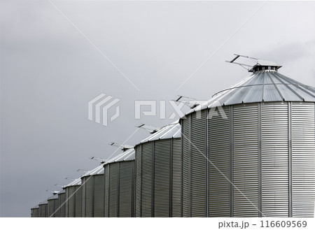 Minimal view to a row of gray metal granaries and sky. Minimal view to a row of gray metal granaries and sky. 116609569