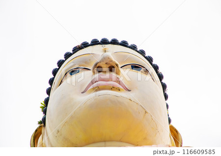 Sitting Buddha Statue in Kande Viharaya Temple in Aluthgama 116609585