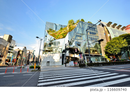 東京 明治神宮前　東急プラザ原宿「ハラカド」の風景 116609740
