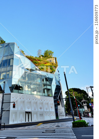 東京 明治神宮前　東急プラザ原宿「ハラカド」の風景 116609773