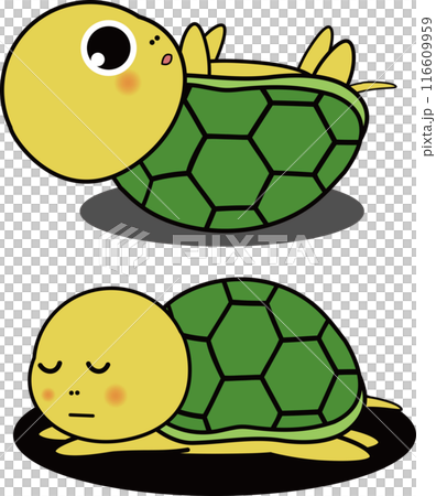 可愛的海龜睡覺和翻身的插圖集 116609959