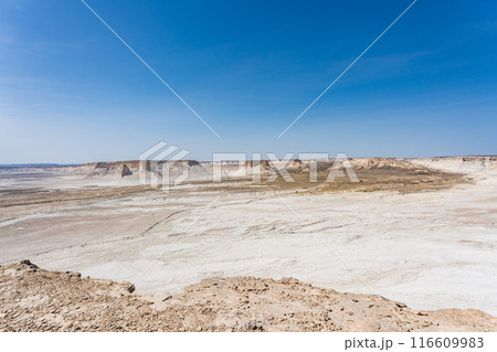 マンギスタウのウスチュルト台地 116609983