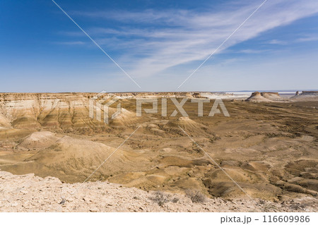 マンギスタウのウスチュルト台地 116609986