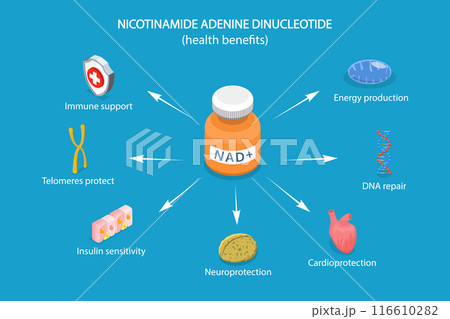 3D Isometric Flat Vector Illustration of Health Benefits Of NAD plus, Anti-Aging Therapy 116610282
