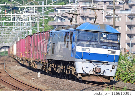 東海道本線　真鶴　JR貨物　EF210-137（岡山） 116610393
