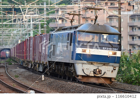 東海道本線　真鶴　JR貨物　EF210-164（新鶴見） 116610412
