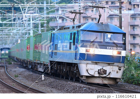 東海道本線　真鶴　JR貨物　EF210-304（吹田） 116610421