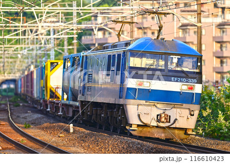 東海道本線 真鶴 JR貨物 EF210-339(吹田) 東海道本線 真鶴 JR貨物 EF210-339(吹田) 116610423