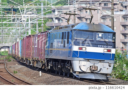 東海道本線　真鶴　JR貨物　EF210-301（吹田） 116610424