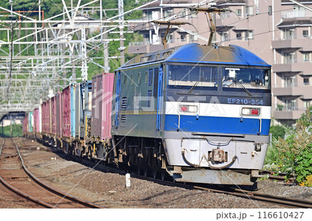 東海道本線　真鶴　JR貨物　EF210-354（吹田） 116610427