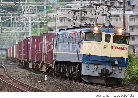 東海道本線　真鶴　JR貨物　EF65-2086（新鶴見） 116610433