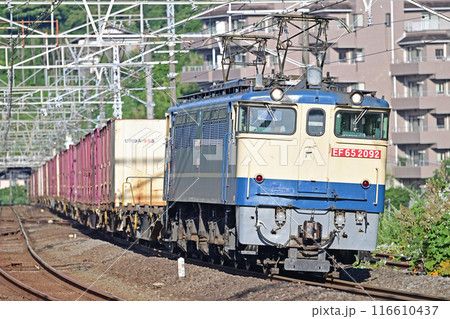 東海道本線　真鶴　JR貨物　EF65-2092（新鶴見） 116610437