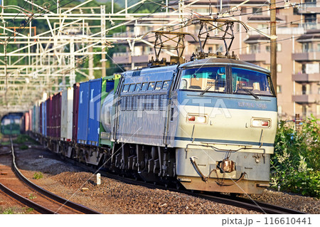 東海道本線 真鶴 JR貨物 EF66-129(吹田) 東海道本線 真鶴 JR貨物 EF66-129(吹田) 116610441