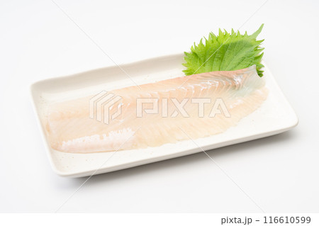 ヒラメの柵 116610599