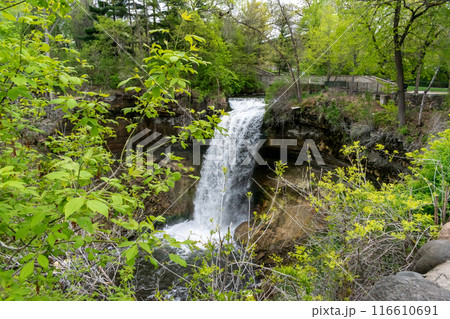 Minnehaha waterfall surrounded by trees and rock. 116610691
