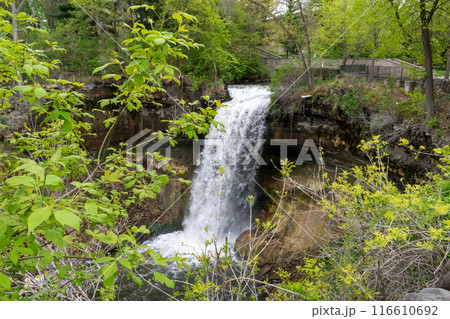 Minnehaha waterfall surrounded by trees and rock. 116610692