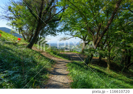 美しい初夏の陽ざしを浴びている浮羽稲荷神社 城ヶ鼻公園(じょうがはなこうえん)内 新緑風景 美しい初夏の陽ざしを浴びている浮羽稲荷神社 城ヶ鼻公園(じょうがはなこうえん)内 新緑風景 116610720