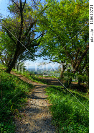 美しい初夏の陽ざしを浴びている浮羽稲荷神社 城ヶ鼻公園(じょうがはなこうえん)内 新緑風景 美しい初夏の陽ざしを浴びている浮羽稲荷神社 城ヶ鼻公園(じょうがはなこうえん)内 新緑風景 116610721