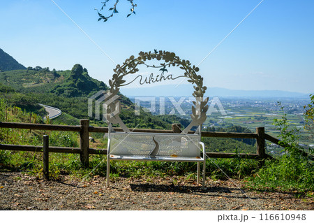 初夏の陽ざしと展望台のベンチ風景　城ヶ鼻公園（じょうがはなこうえん）内　浮羽稲荷神社(うきは市) 116610948