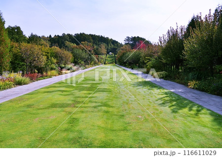 北海道由仁町の庭園　ゆにガーデン　ブロードウォークの風景 116611029