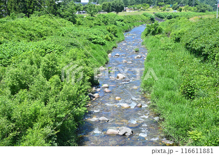 大源太川　岩原橋から下流　川風景　新潟県湯沢町　 116611881