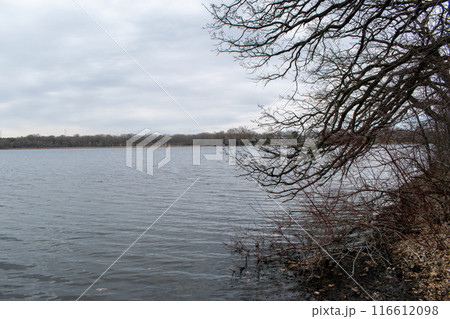 Views of a Minnesota lake on a cloudy day Views of a Minnesota lake on a cloudy day 116612098