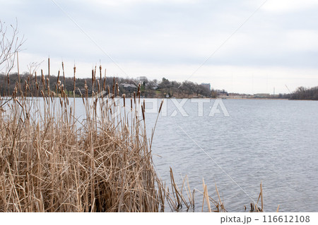 Views of a Minnesota lake on a cloudy day 116612108