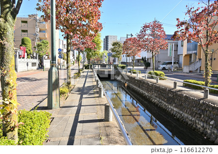 中山道熊谷宿：星川通り　熊谷市シンボルロード 116612270