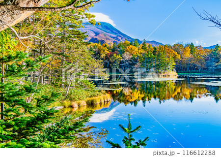 北海道 紅葉の知床五湖　～水鏡の三湖と知床連山～ 116612288