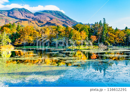 北海道 紅葉の知床五湖 ~水鏡の三湖と知床連山~ 北海道 紅葉の知床五湖 ~水鏡の三湖と知床連山~ 116612291