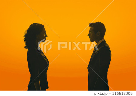 向かい合う男性と女性2　AI生成画像 116612309