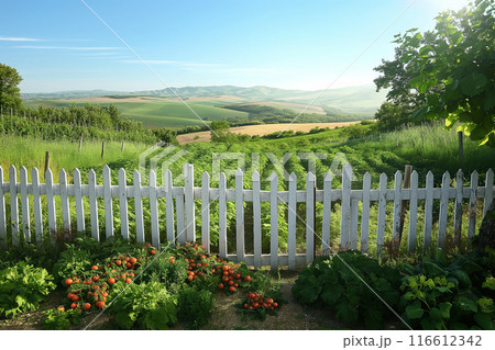 柵の向こう側に広がる広大な畑1　AI生成画像 116612342