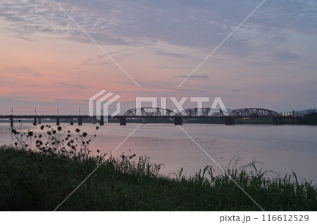 朝の河川敷にて 朝の河川敷にて 116612529