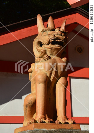 狛犬(蛭子神社 生田神社・境内/兵庫県神戸市中央区) 狛犬(蛭子神社 生田神社・境内/兵庫県神戸市中央区) 116612635