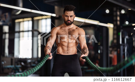 A muscular man with a beard is working out with battle ropes in a gym. 116612667