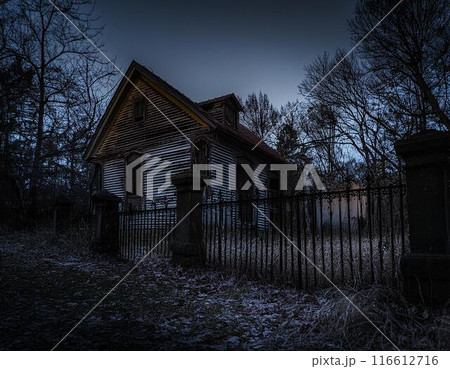 暗い森の中にある壊れた廃墟の家　ai生成画像 116612716