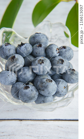 ブルーベリー 116613097