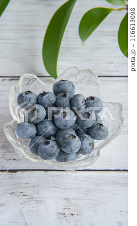 ブルーベリー 116613098