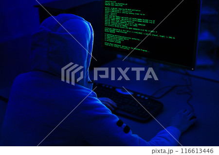 A person wearing a hooded sweatshirt sits in front of a computer with a dark background. Computer screen displays green code, indicating that the person is working on a programming or technical task. A person wearing a hooded sweatshirt sits in front of a computer with a dark background. Computer screen displays green code, indicating that the person is working on a programming or technical task. 116613446