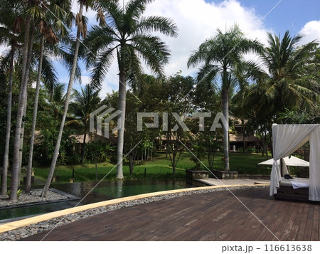 インドネシア　バリ島のプール付きヴィラ 116613638