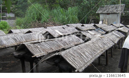 バリ島東部の伝統田園 クサンバの塩 バリ島東部の伝統田園 クサンバの塩 116613645