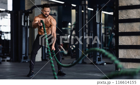 A muscular man is working out with battle ropes in a gym. He is wearing black shorts and shoes. He is focused on his workout. A muscular man is working out with battle ropes in a gym. He is wearing black shorts and shoes. He is focused on his workout. 116614155