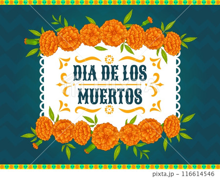 Day of the dead mexican holiday frame with marigold flowers. Dia de los muertos border. Vector template with cempasuchil or tagetes blooms for celebration, honoring ancestry memories and tradition 116614546