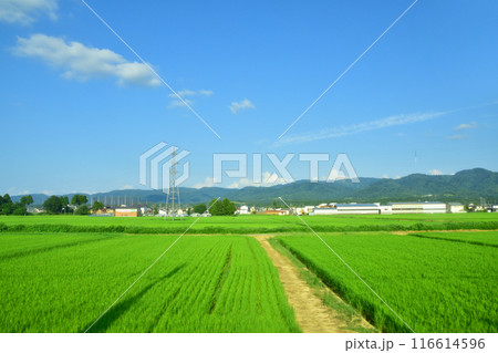JR東日本上越線の長岡駅から越後川口駅までの車窓風景(2022年夏) 116614596