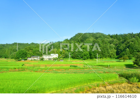 JR東日本上越線の長岡駅から越後川口駅までの車窓風景(2022年夏) 116614610
