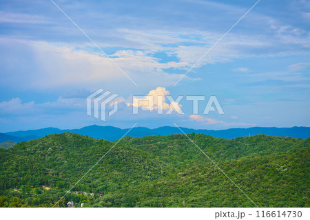 夕陽に照らされた入道雲 夕陽に照らされた入道雲 116614730