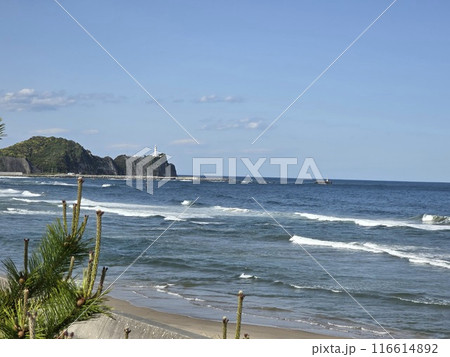 松林から見た福島県塩屋崎灯台の風景 116614892