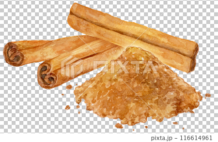 Cinnamon sticks and powder watercolor illustration 116614961