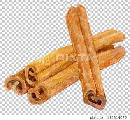 Cinnamon watercolor illustration 116614970