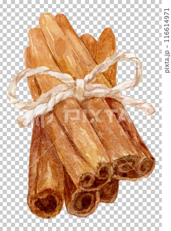 一束用繩子水彩插圖綁著的肉桂 116614971